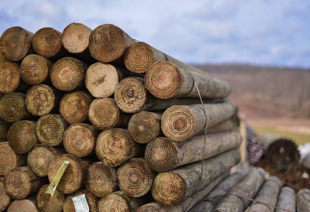 When it comes to durable and long-lasting construction materials, CCA Treated Wood stands out as one of the most reliable choices for builders, DIY enthusiasts, and furniture makers.