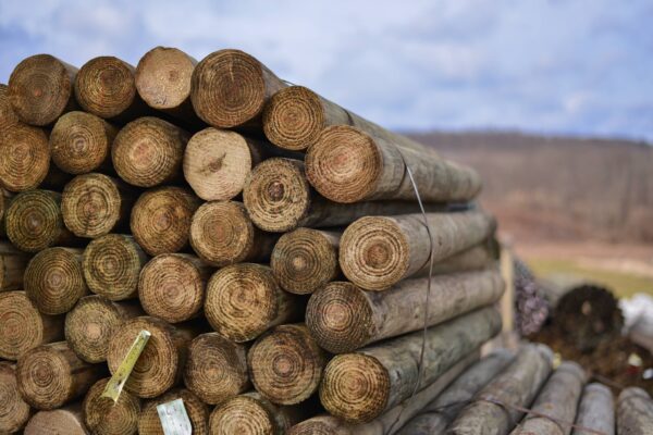 Everything You Need to Know About CCA Treated Wood When it comes to durable and long-lasting construction materials, CCA Treated Wood stands out as one of the most reliable choices for builders, DIY enthusiasts, and furniture makers.